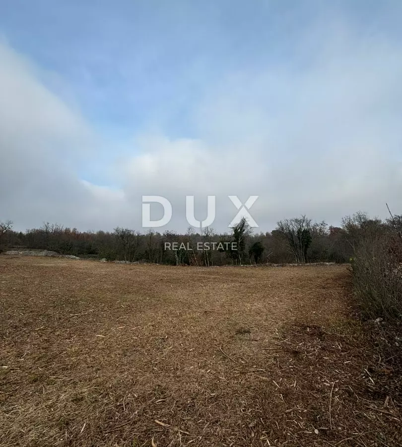 Land In Filipana, Croatia (1.295 M²)