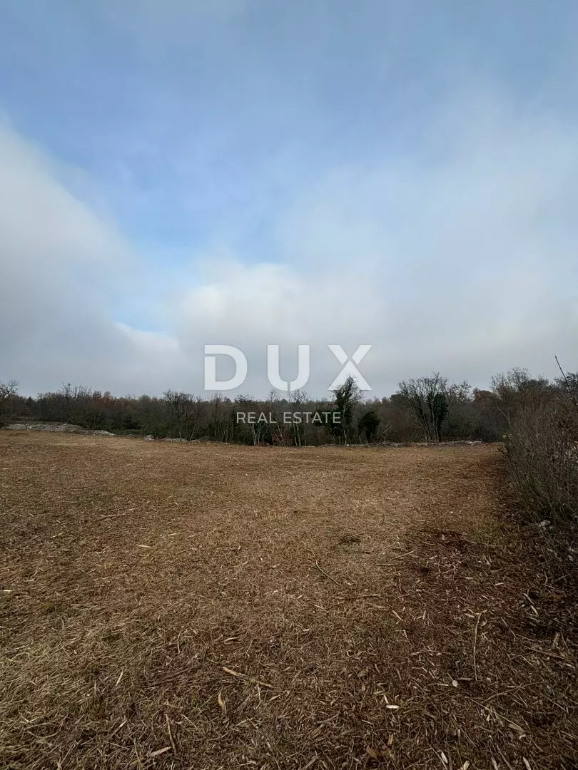 1736338638_whatsapp-image-2025-01-08-at-10-7b26aa Land In Filipana, Croatia (1.295 M²)
