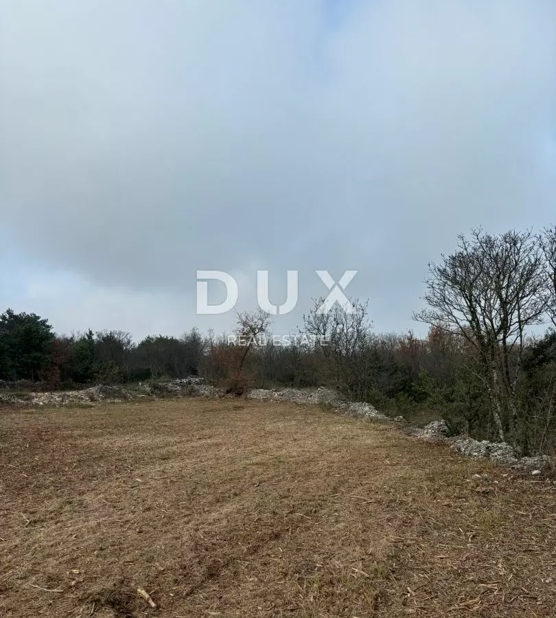 Land In Filipana, Croatia (1.295 M²)