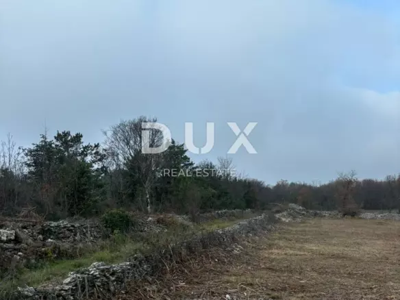 Land In Filipana, Croatia (1.295 M²)