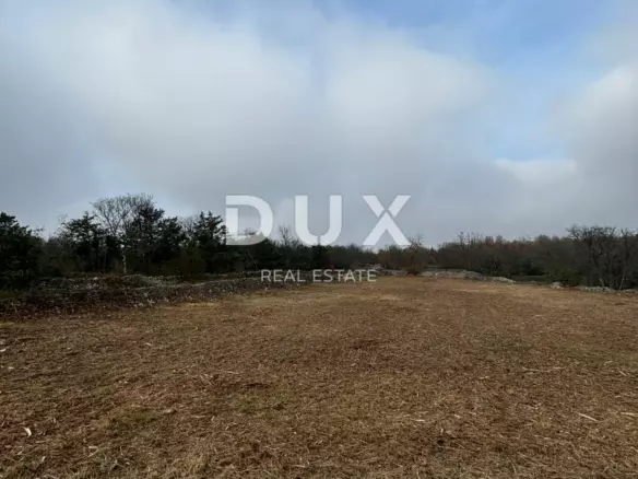 Land In Filipana, Croatia (1.295 M²)