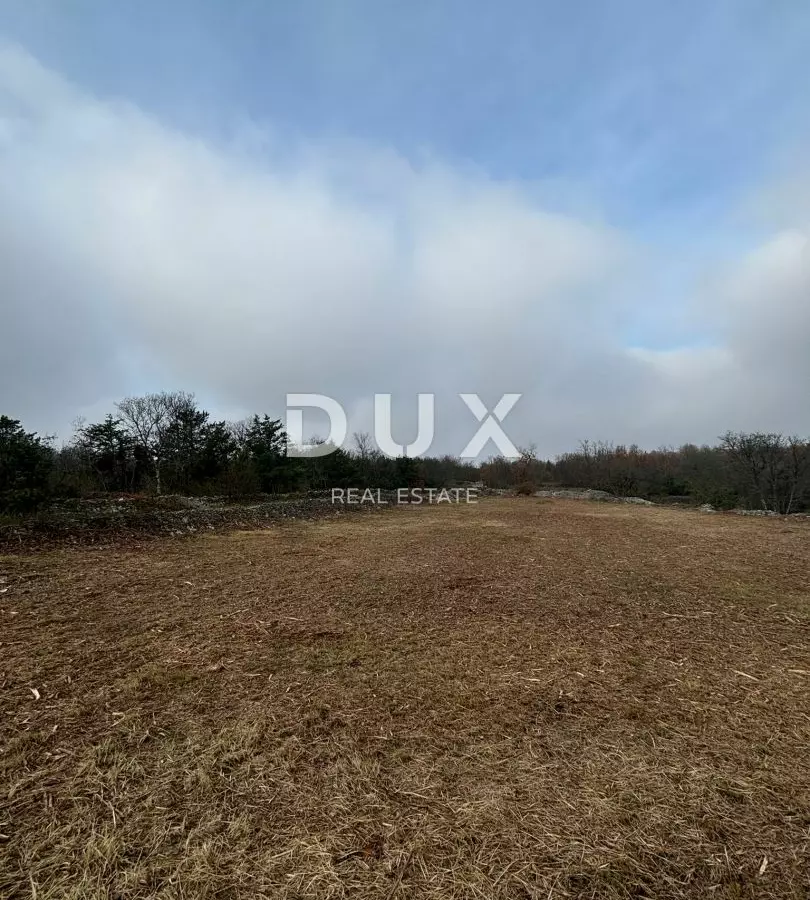 Land In Filipana, Croatia (1.295 M²)