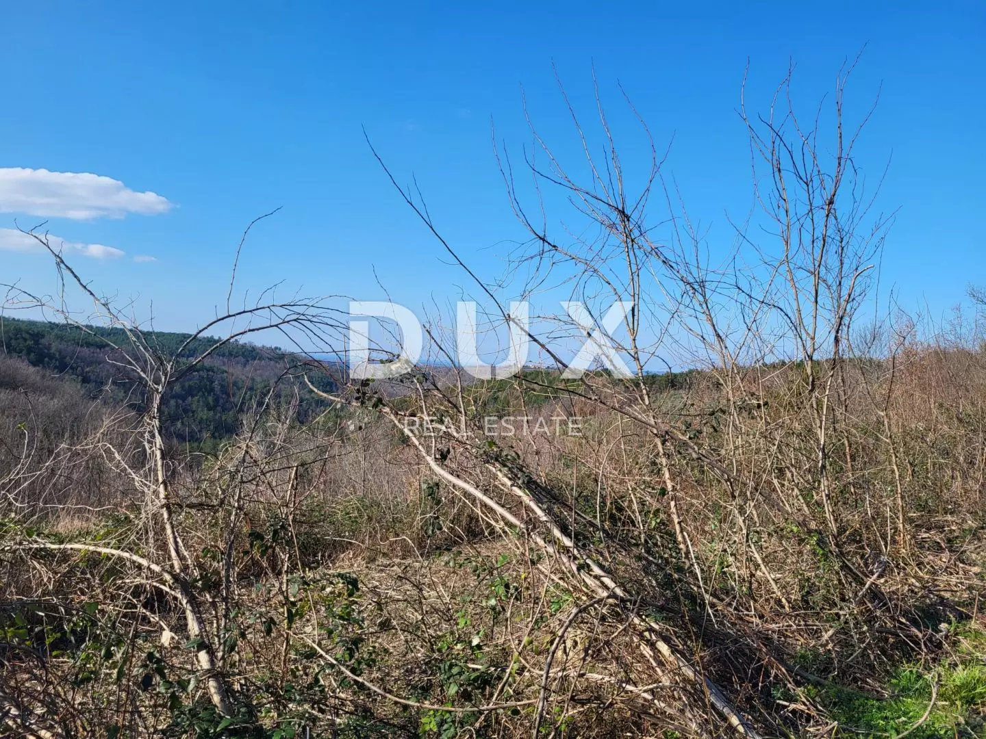 1739884191_whatsapp-image-2025-02-18-at-14-5a22b9 Land In Grožnjan, Croatia (1.279 M²)