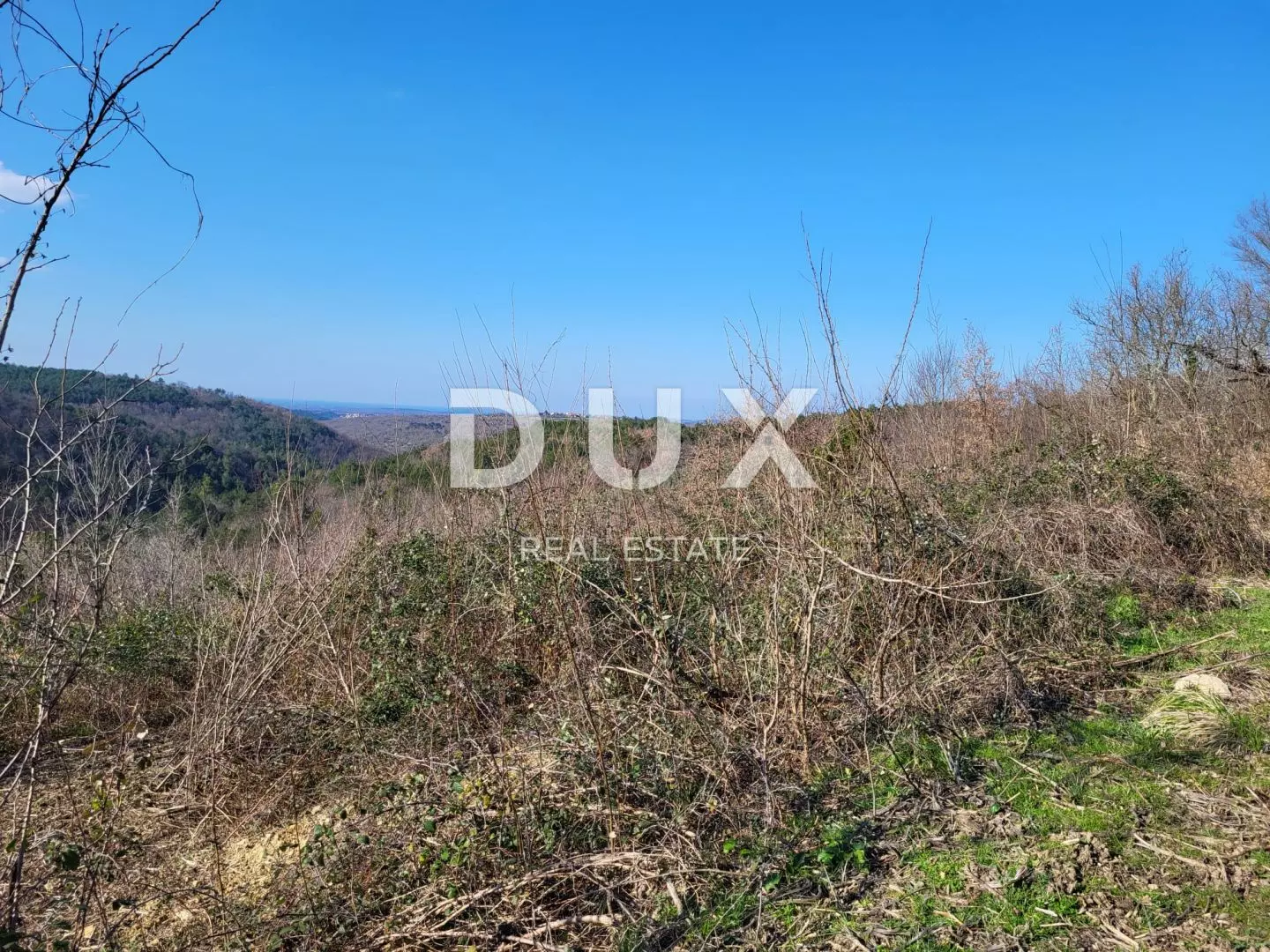 1739884197_whatsapp-image-2025-02-18-at-14-601942 Land In Grožnjan, Croatia (1.279 M²)