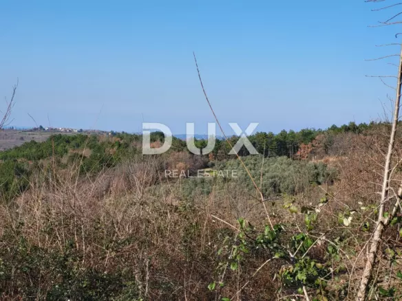 Land In Grožnjan, Croatia (1.279 M²)