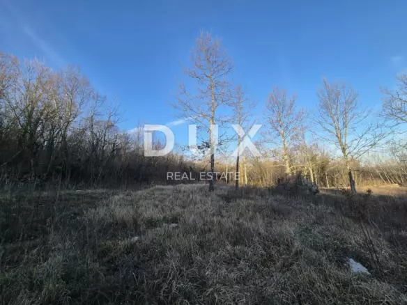 Land In Kršan, Croatia (7.842 M²)