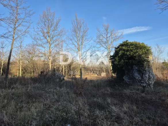 Land In Kršan, Croatia (7.842 M²)