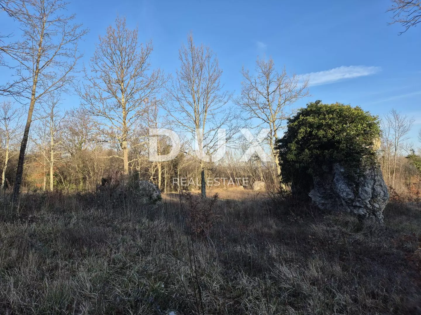 Land In Kršan, Croatia (7.842 M²)