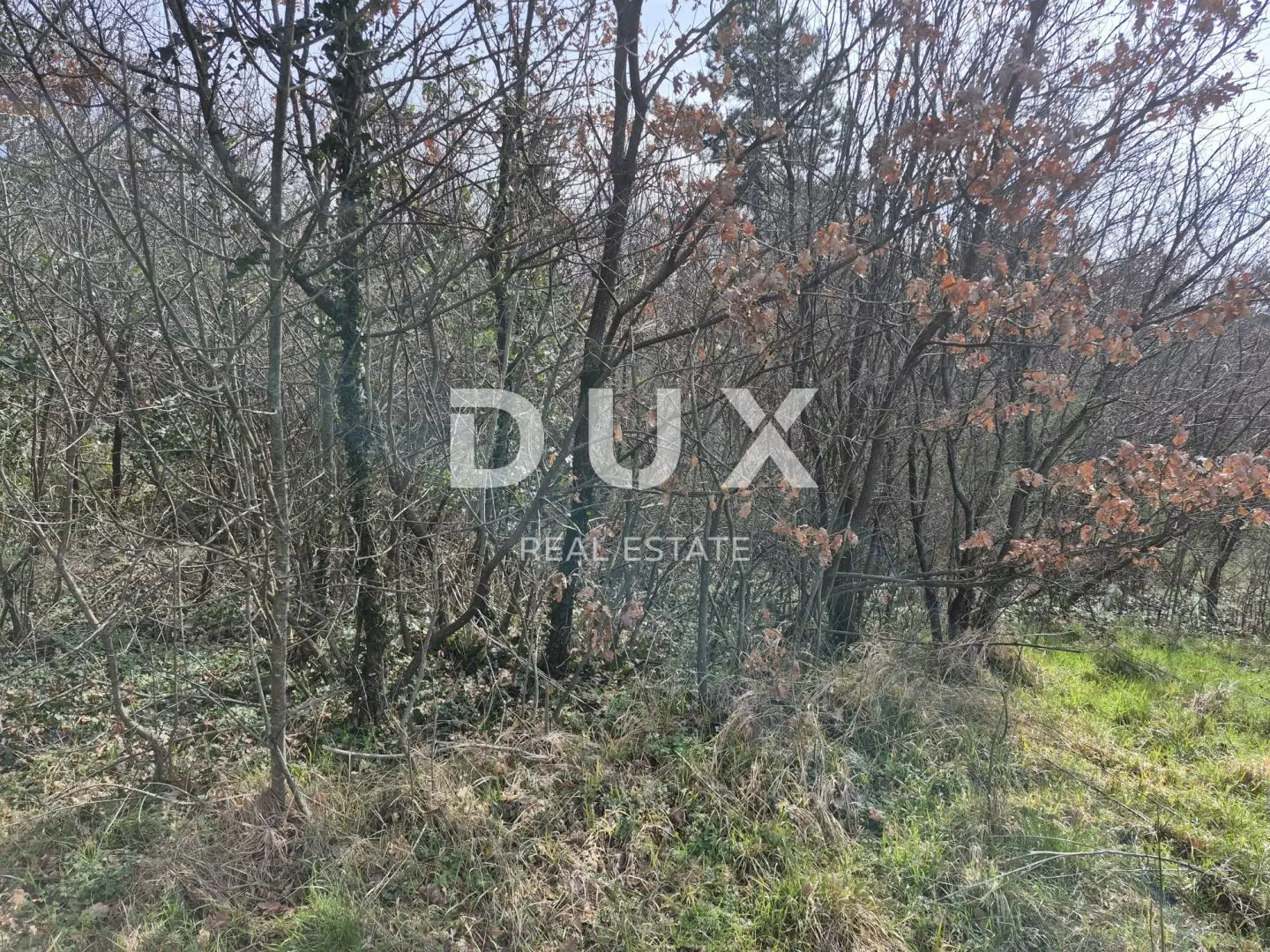 Land In Buzdohanj, Croatia (4.551 M²)