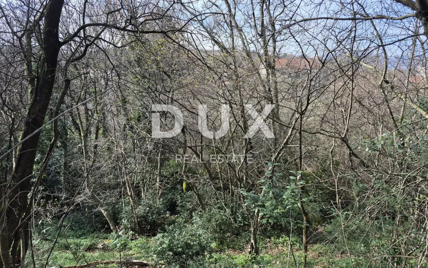 Land In Buzdohanj, Croatia (4.551 M²)