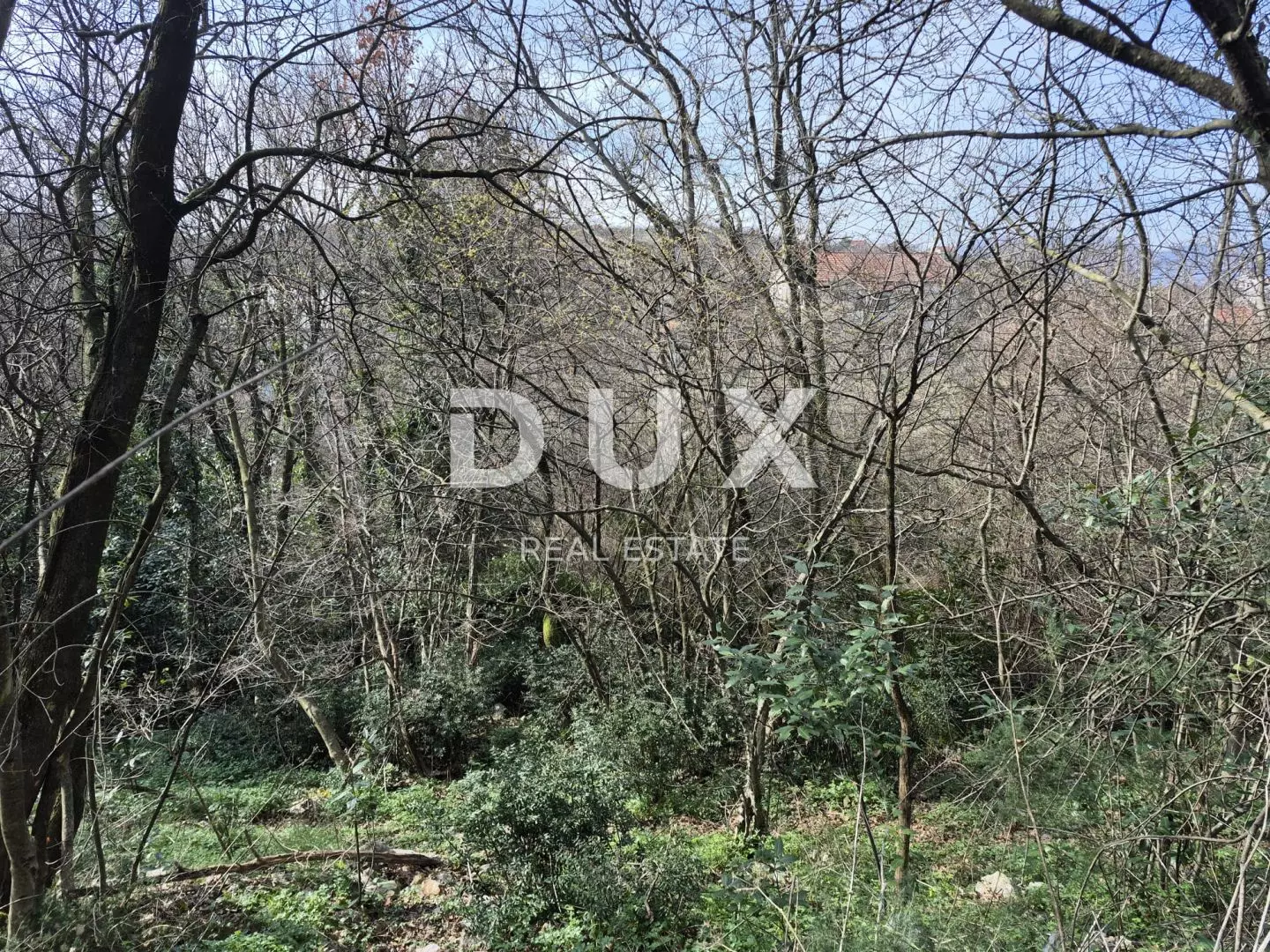 Land In Buzdohanj, Croatia (4.551 M²)