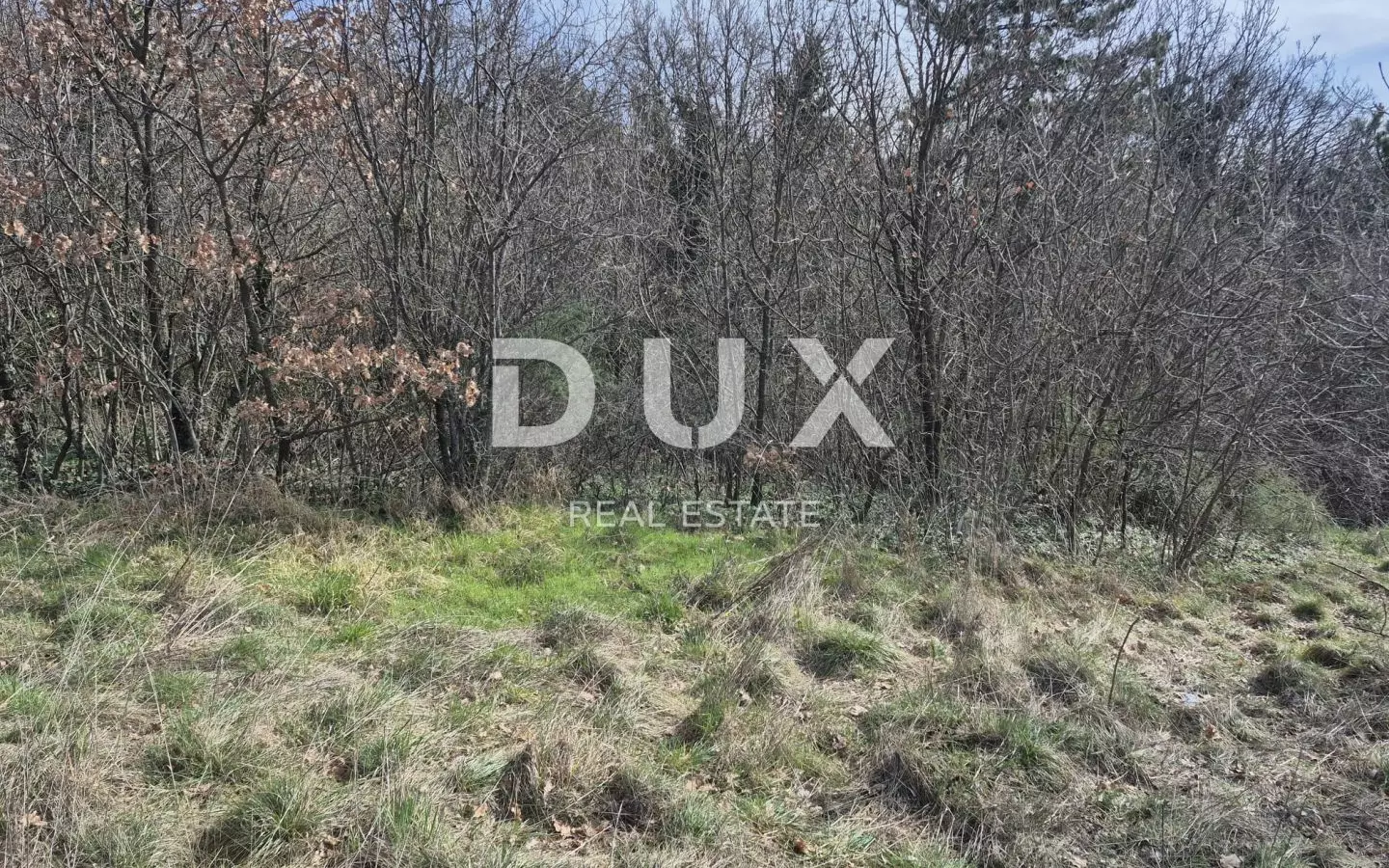Land In Buzdohanj, Croatia (4.551 M²)