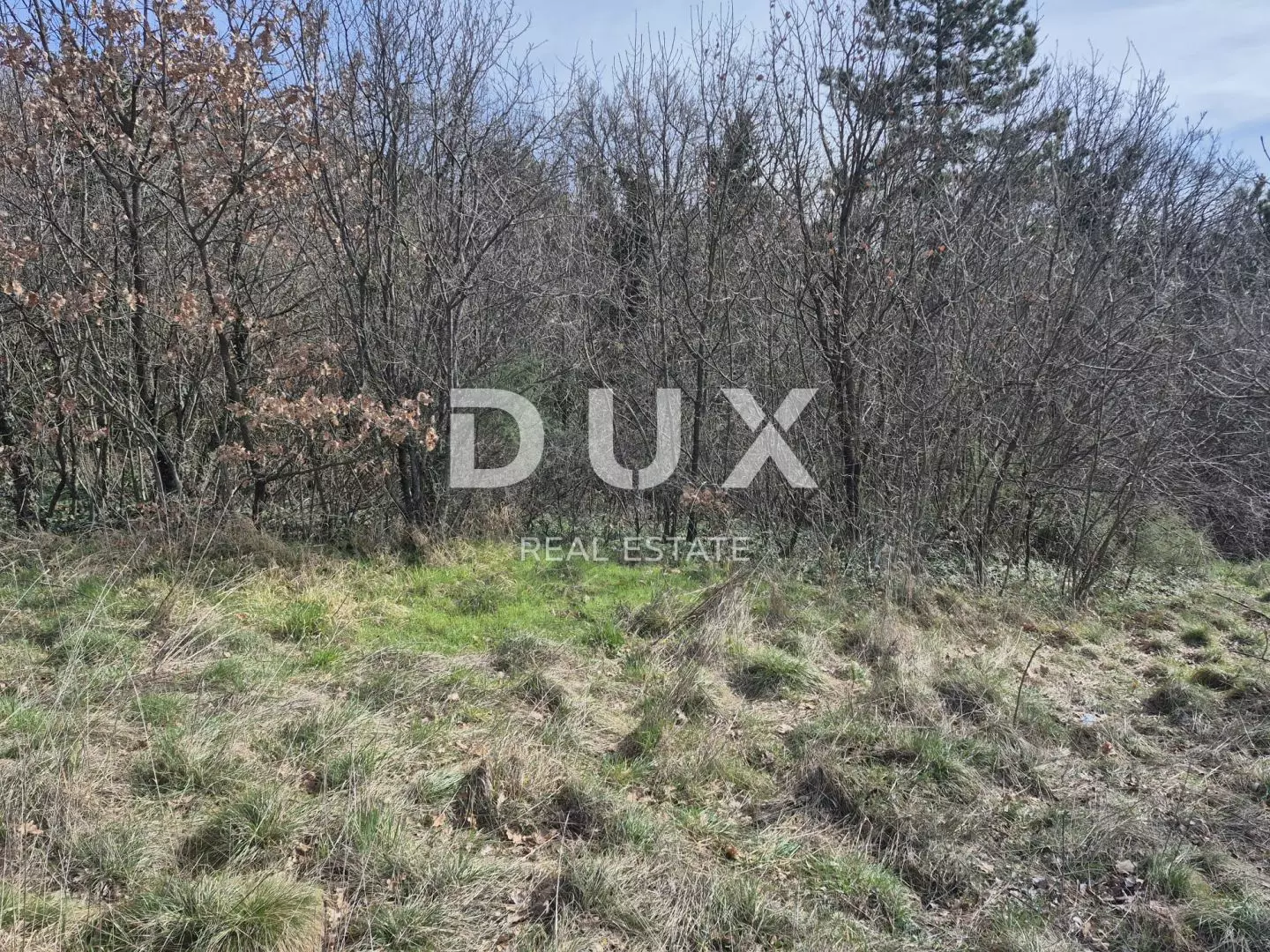Land In Buzdohanj, Croatia (4.551 M²)