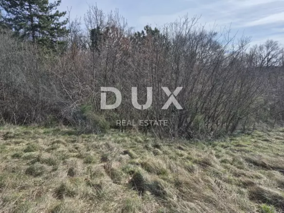 Land In Buzdohanj, Croatia (4.551 M²)