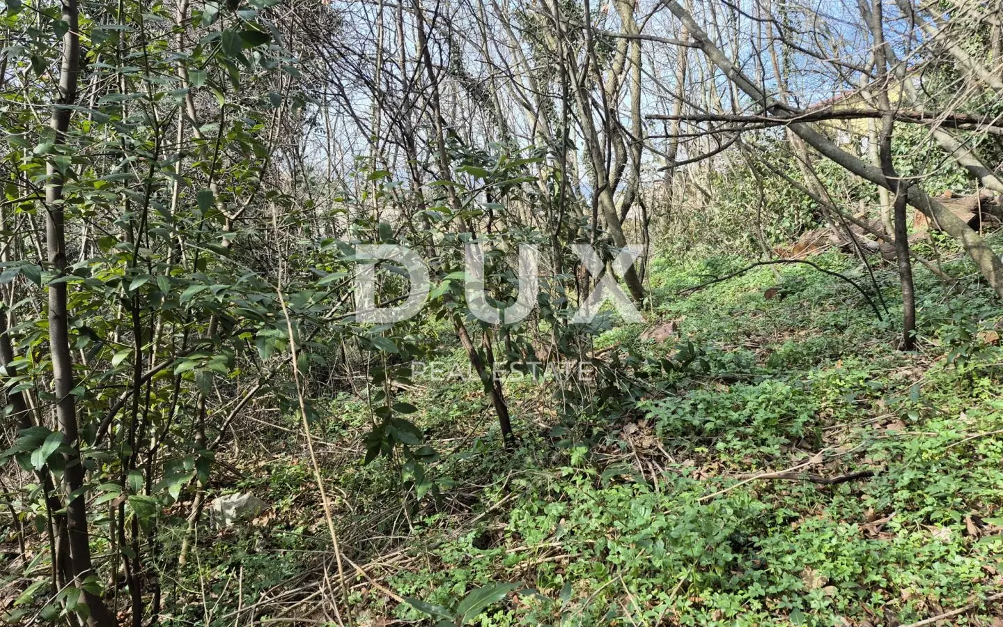 Land In Buzdohanj, Croatia (4.551 M²)