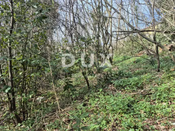 Land In Buzdohanj, Croatia (4.551 M²)