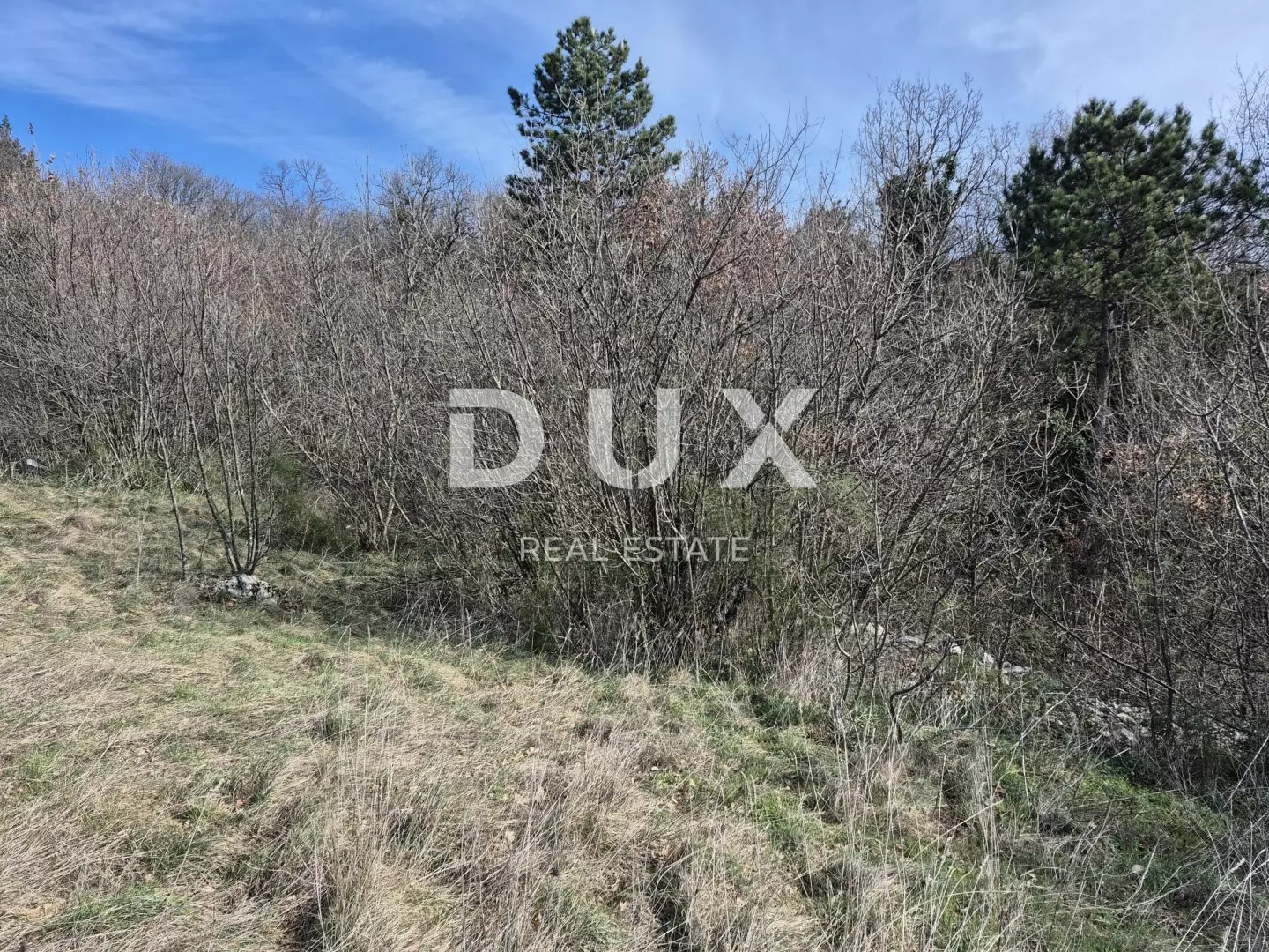 Land In Buzdohanj, Croatia (4.551 M²)