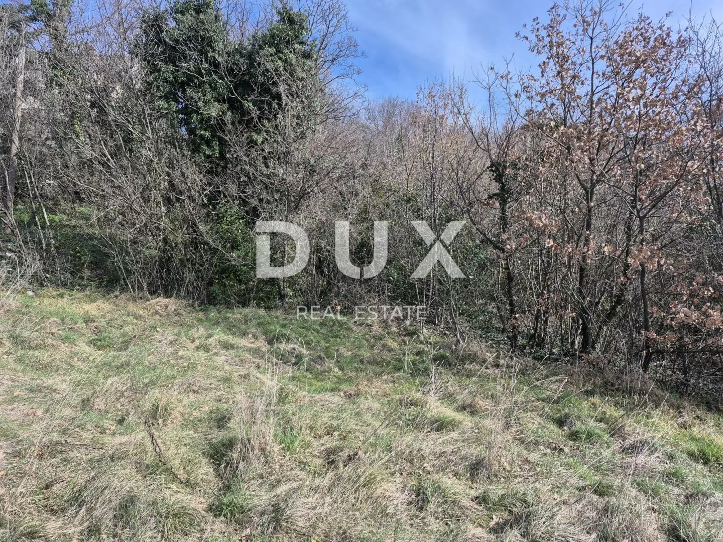 Land In Buzdohanj, Croatia (4.551 M²)