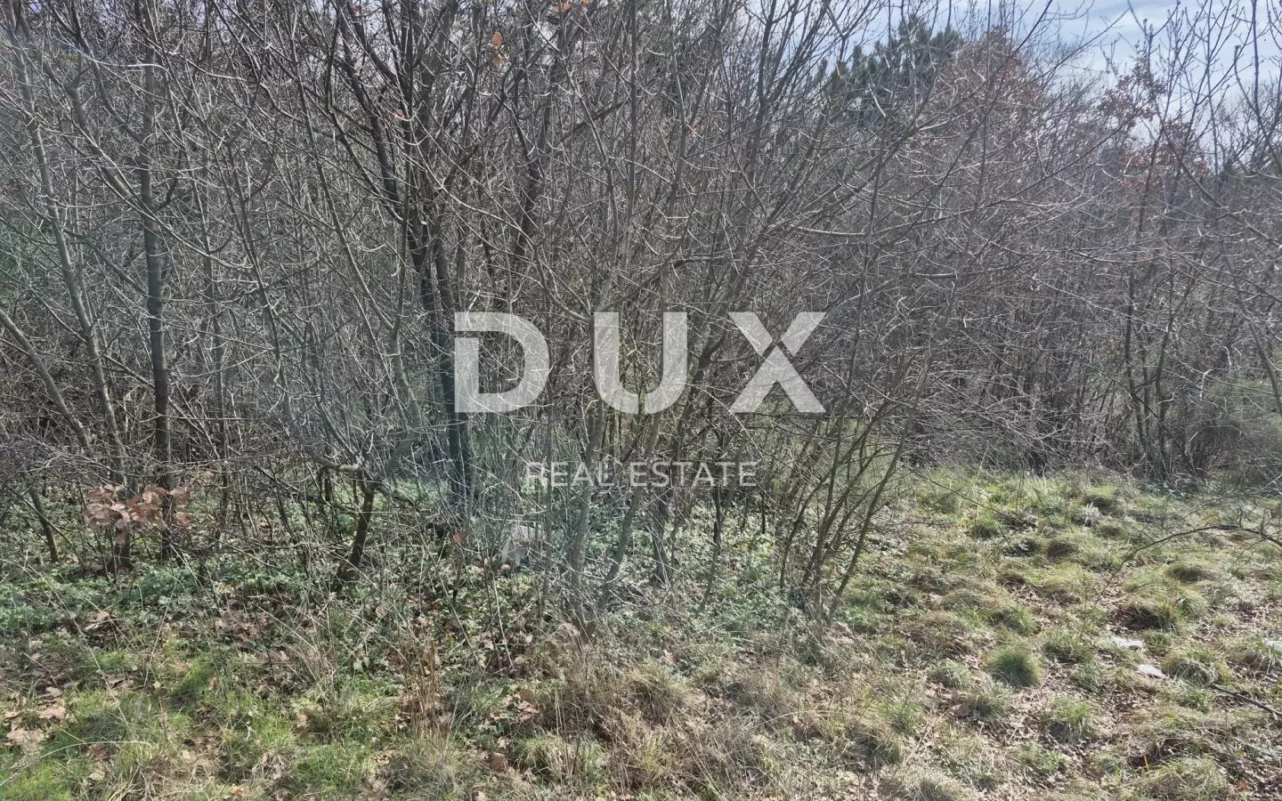 Land In Buzdohanj, Croatia (4.551 M²)
