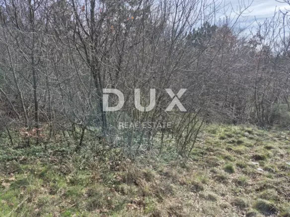 Land In Buzdohanj, Croatia (4.551 M²)