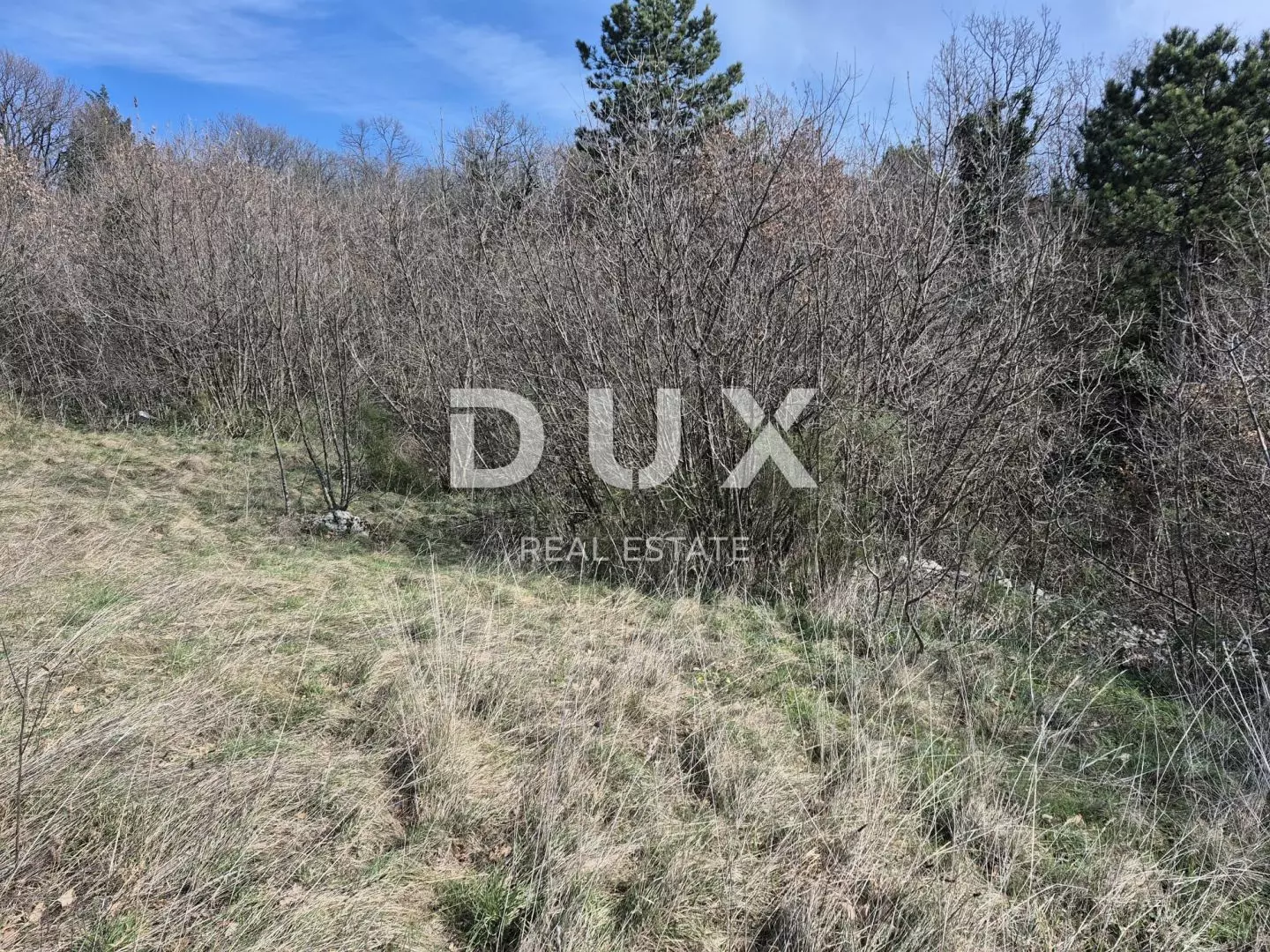 Land In Buzdohanj, Croatia (4.551 M²)