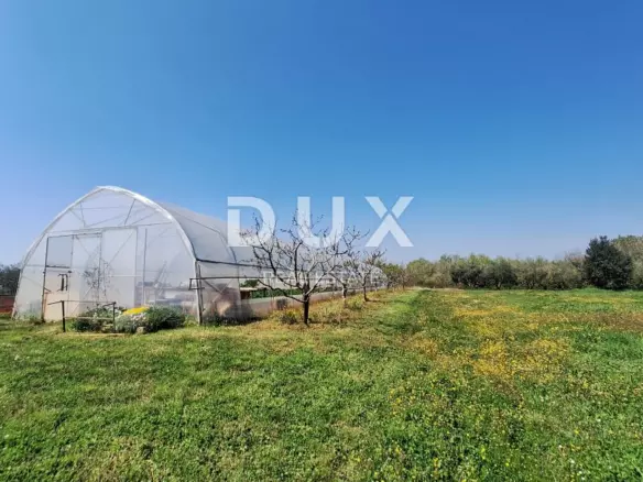 Land In Poreč, Croatia (918 M²)