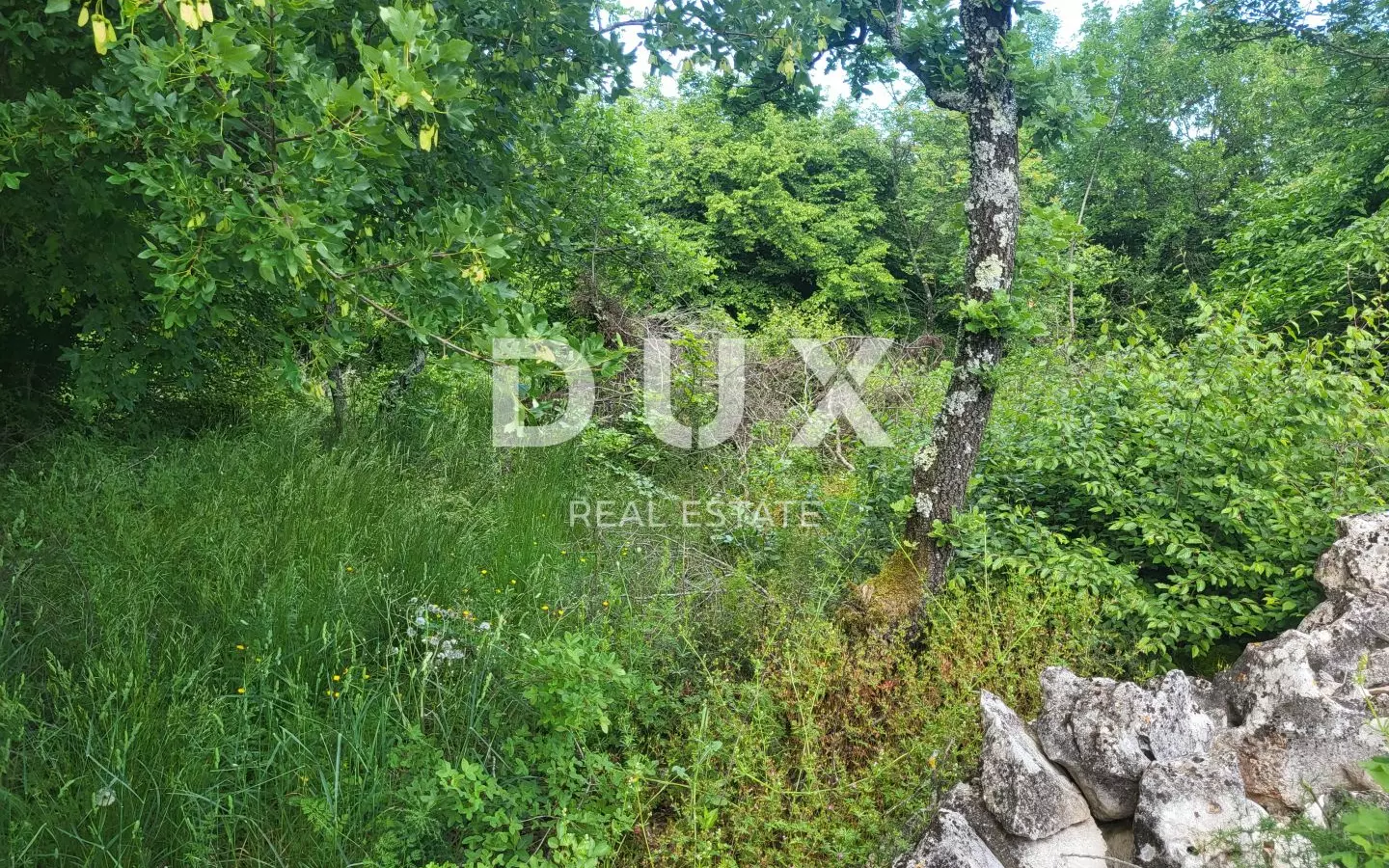 Land In Barban, Croatia (3.445 M²)