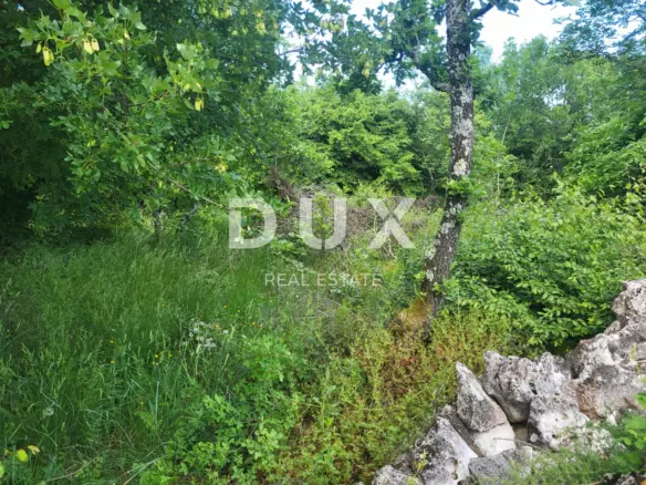 Land In Barban, Croatia (3.445 M²)