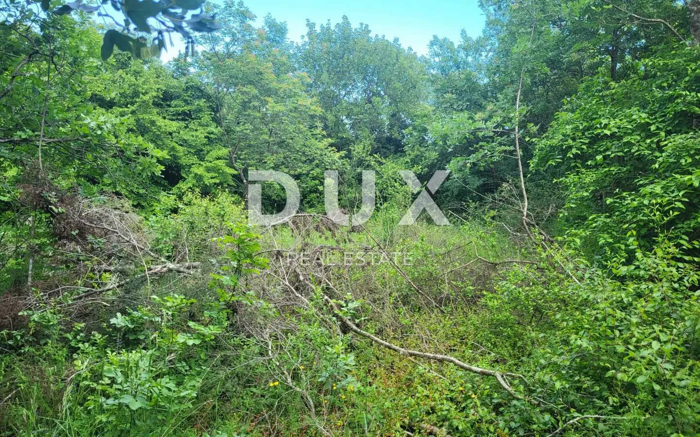 Land In Barban, Croatia (3.445 M²)
