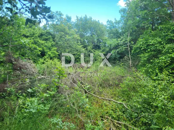 Land In Barban, Croatia (3.445 M²)