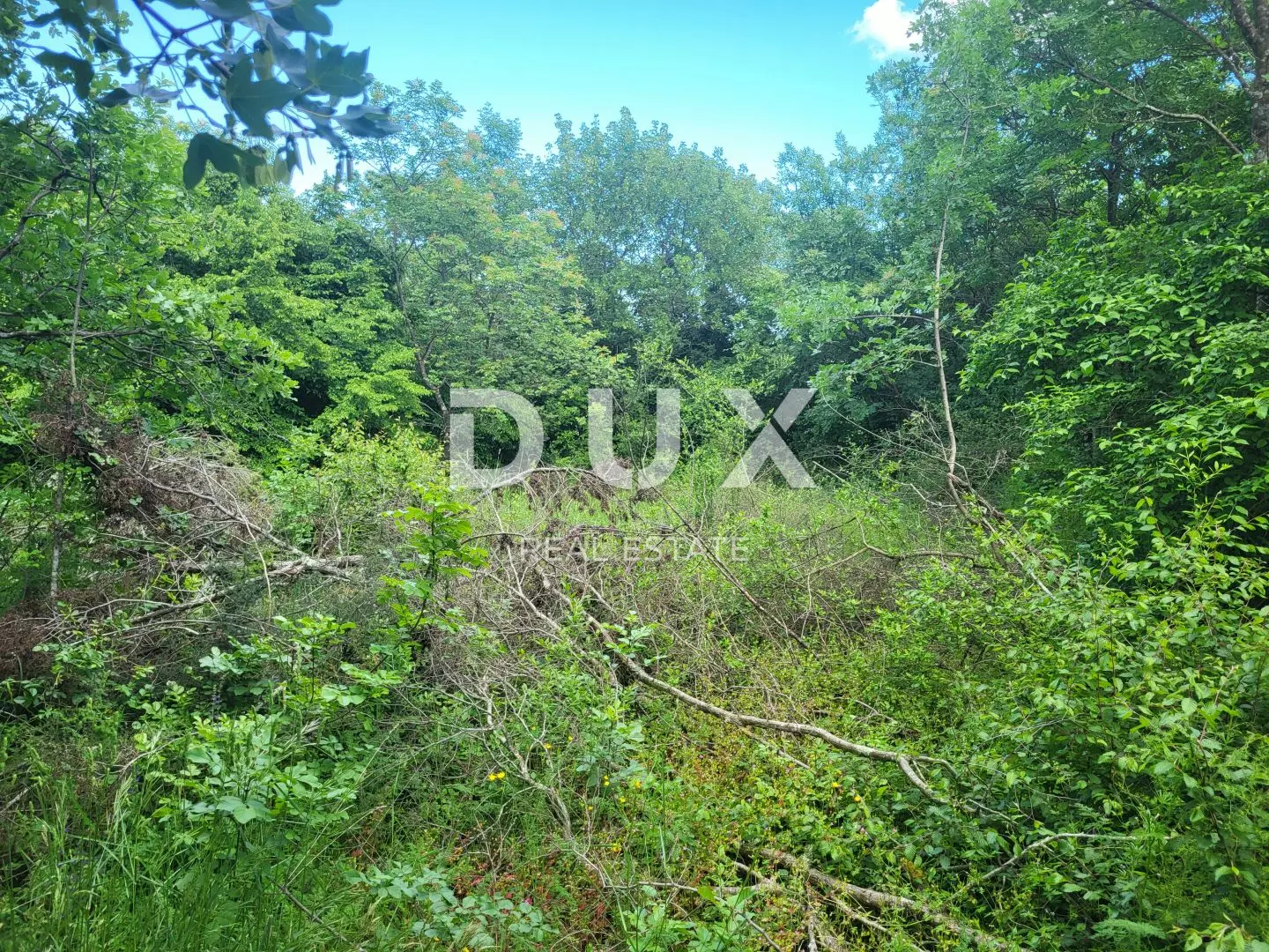 Land In Barban, Croatia (3.445 M²)