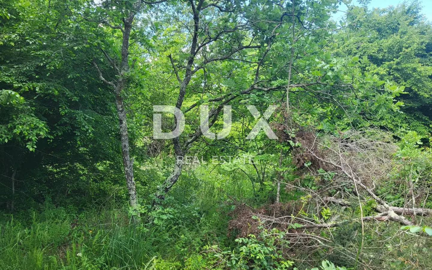 Land In Barban, Croatia (3.445 M²)