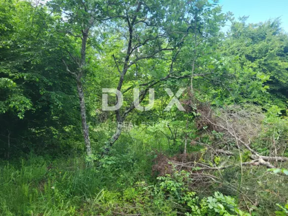 Land In Barban, Croatia (3.445 M²)