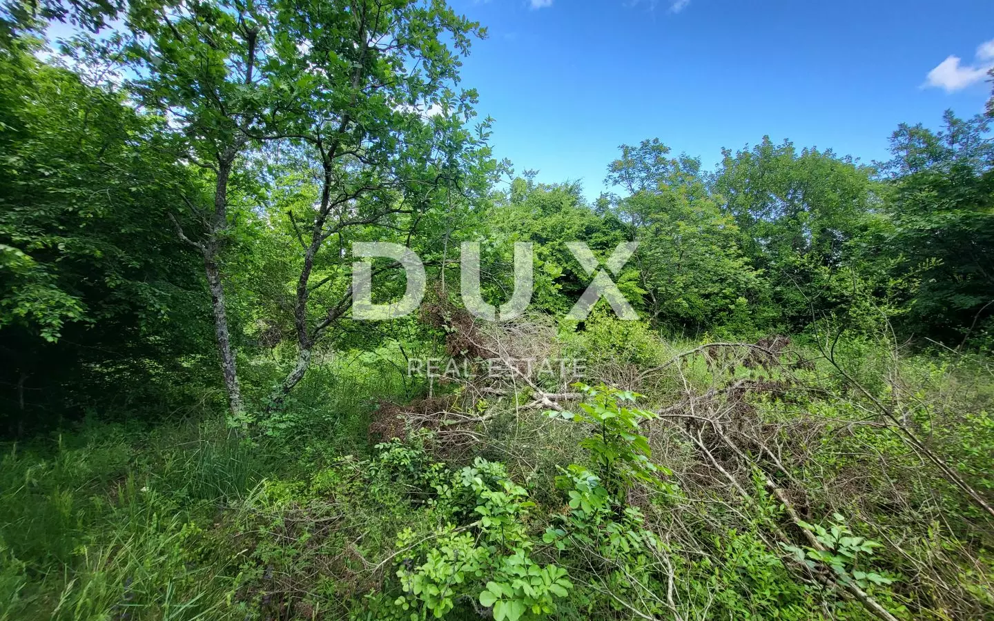Land In Barban, Croatia (3.445 M²)
