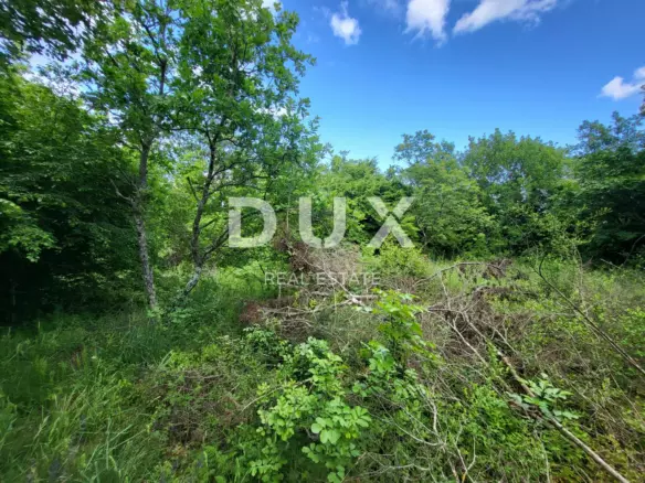 Land In Barban, Croatia (3.445 M²)