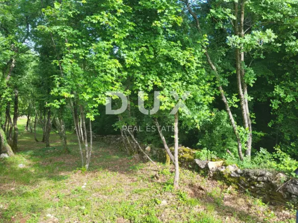 Land In Barban, Croatia (3.445 M²)