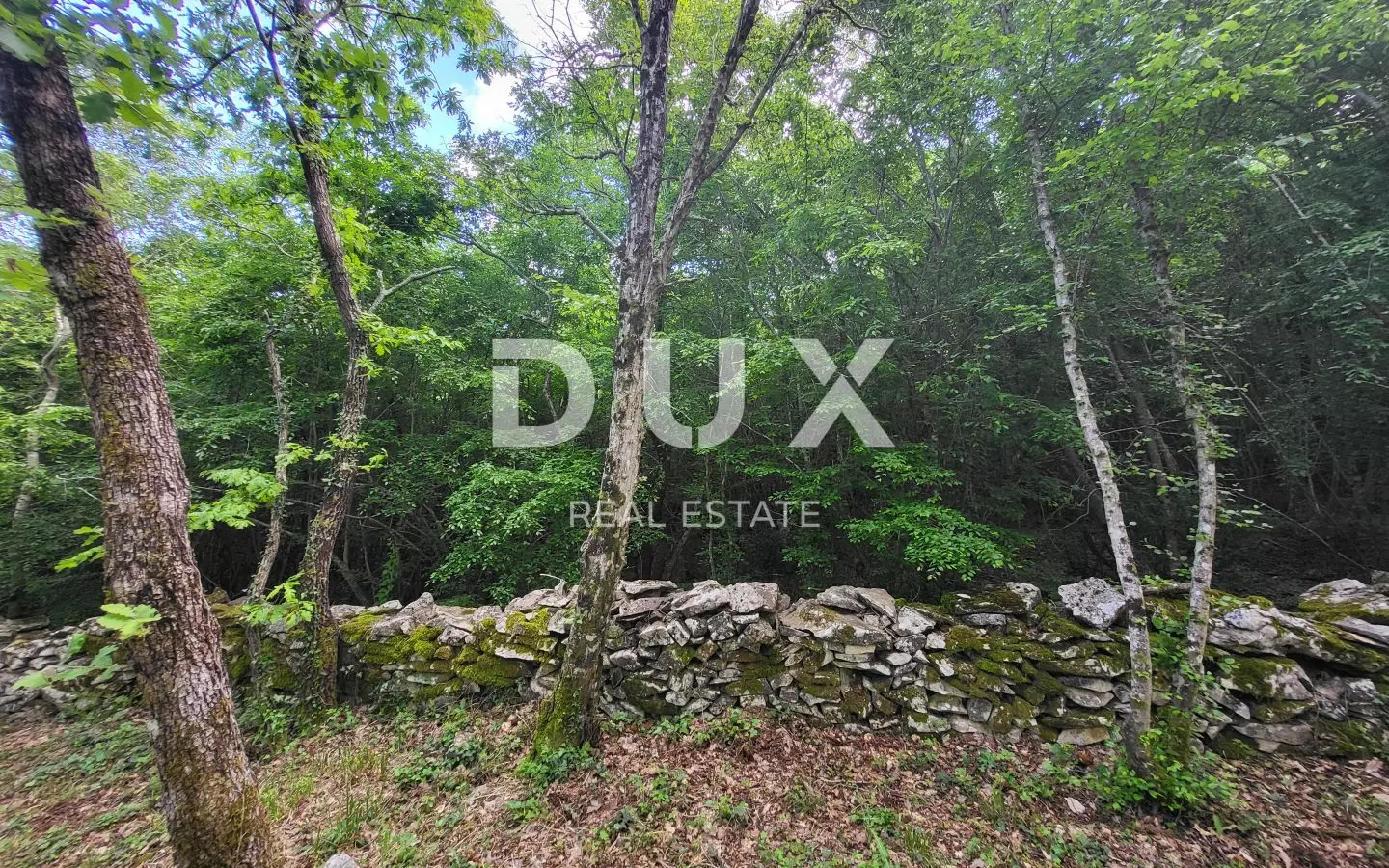 Land In Barban, Croatia (3.445 M²)