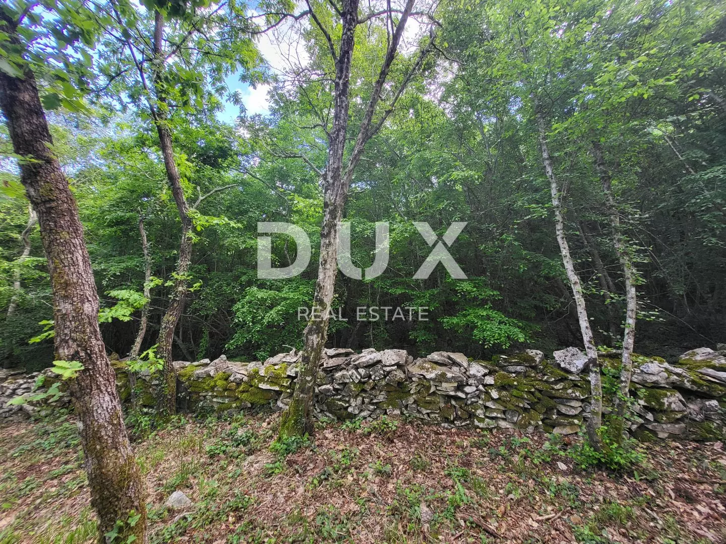 Land In Barban, Croatia (3.445 M²)