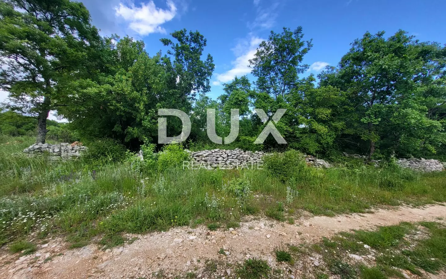 Land In Barban, Croatia (3.445 M²)
