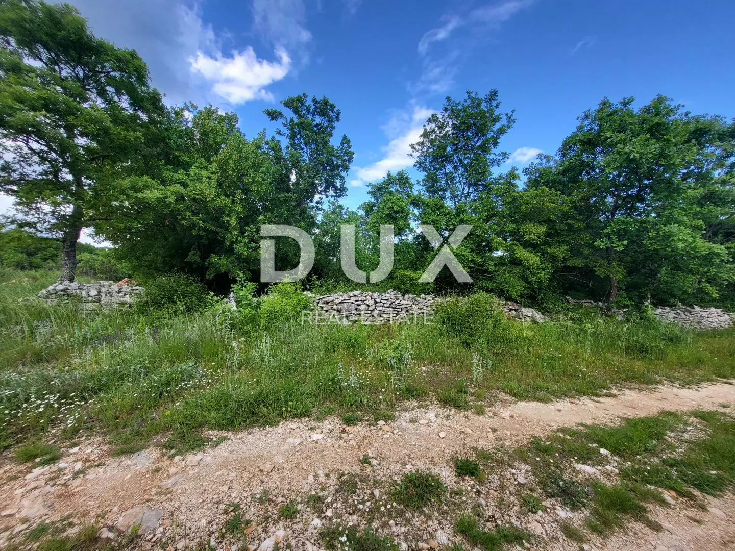 Land In Barban, Croatia (3.445 M²)