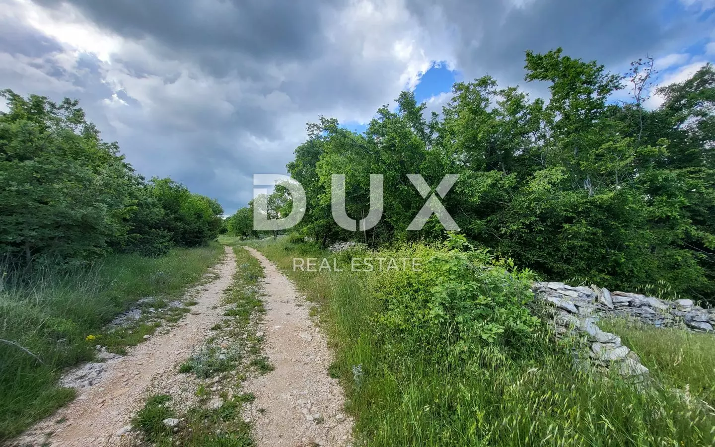 Land In Barban, Croatia (3.445 M²)