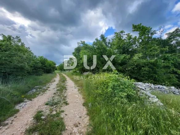 Land In Barban, Croatia (3.445 M²)