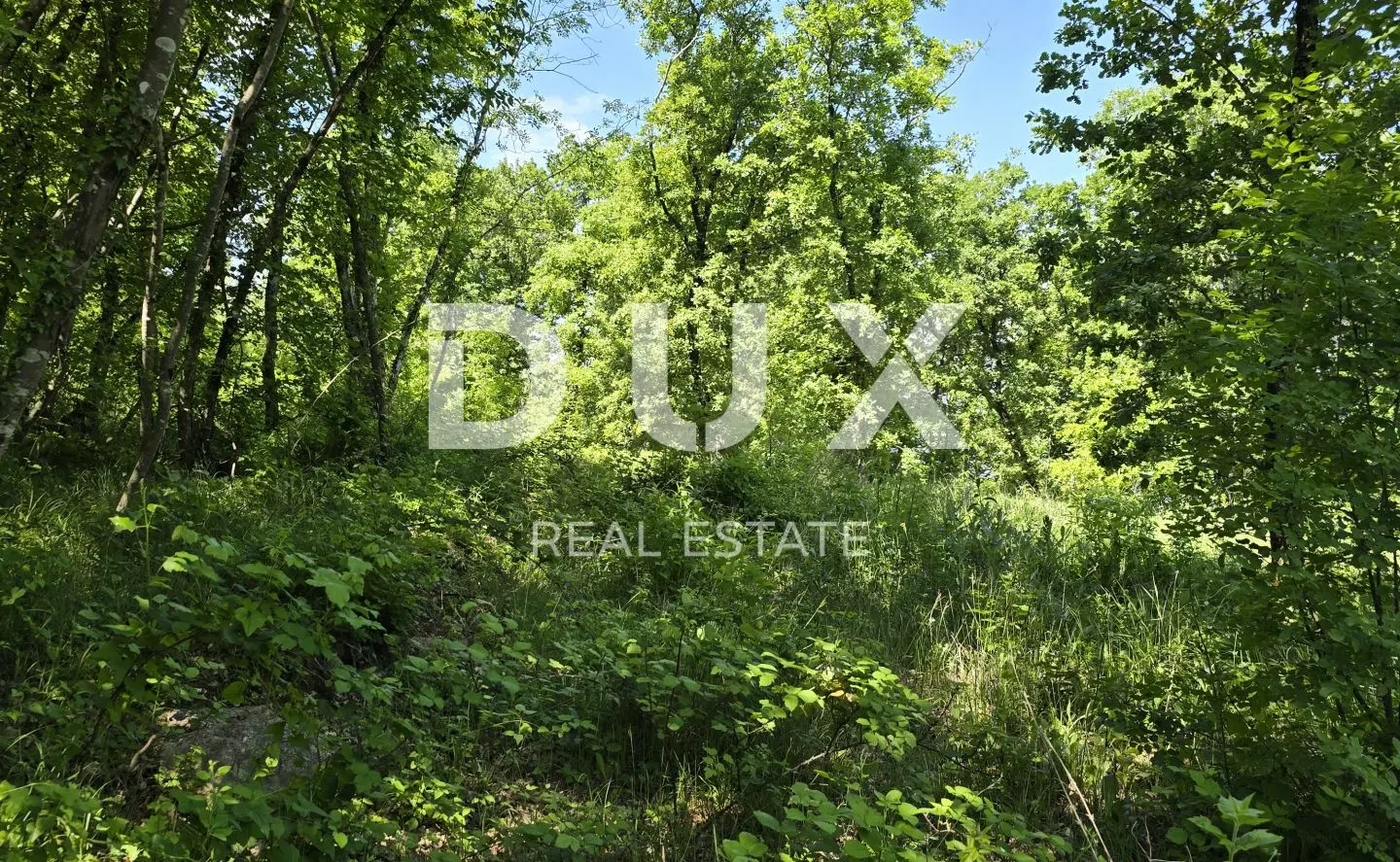 Land In Pazin, Croatia (6.270 M²)