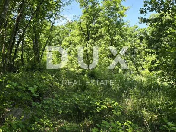 Land In Pazin, Croatia (6.270 M²)