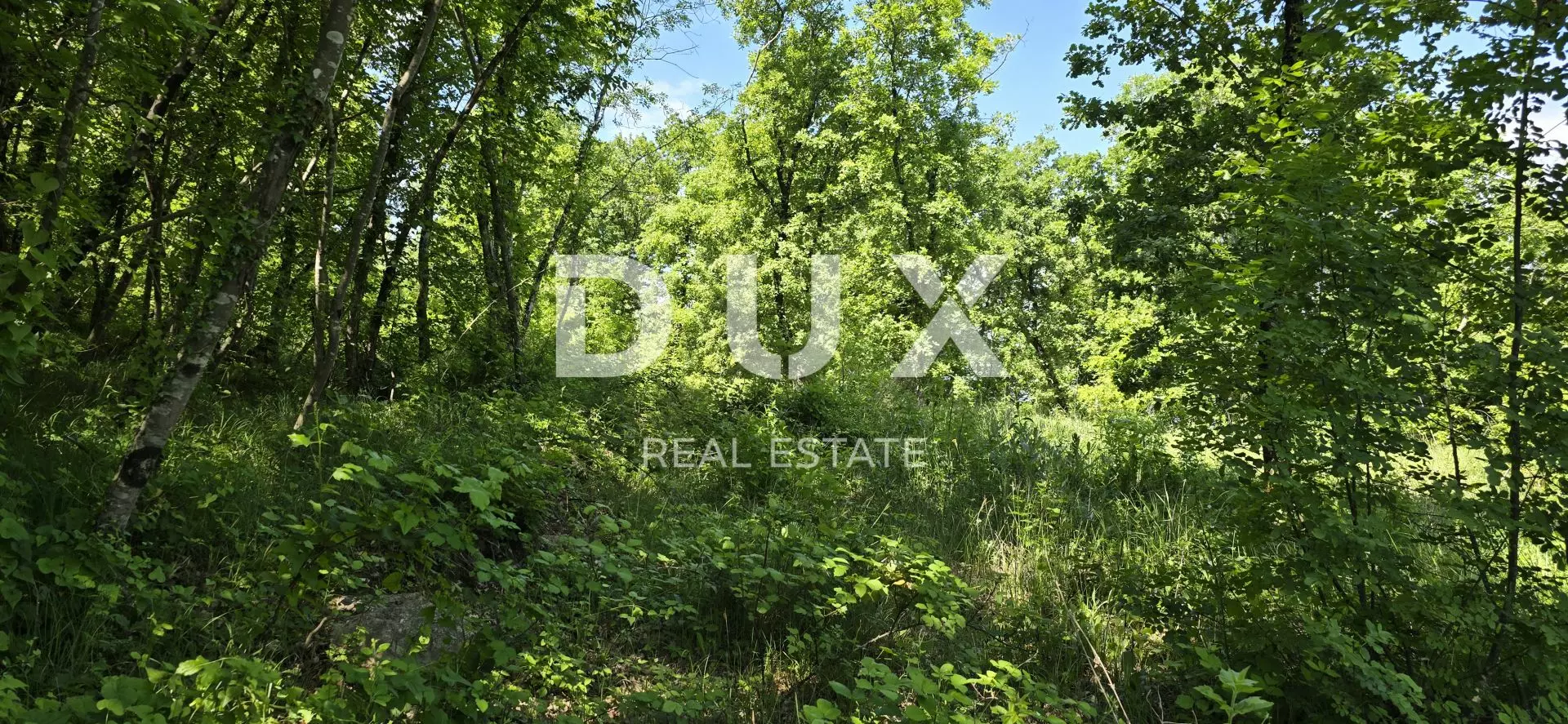 Land In Pazin, Croatia (6.270 M²)