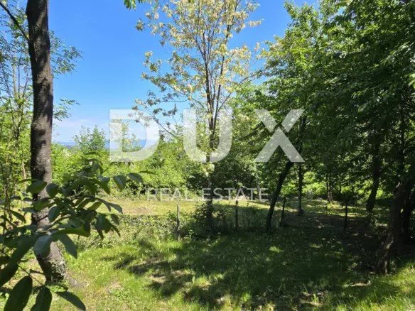 Land In Pazin, Croatia (6.270 M²)