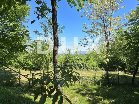 Land In Pazin, Croatia (6.270 M²)