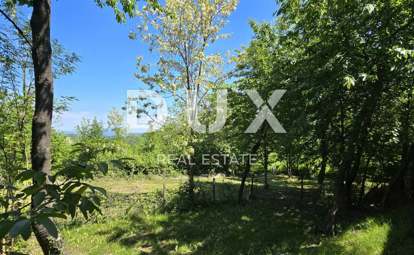 Land In Pazin, Croatia (6.270 M²)