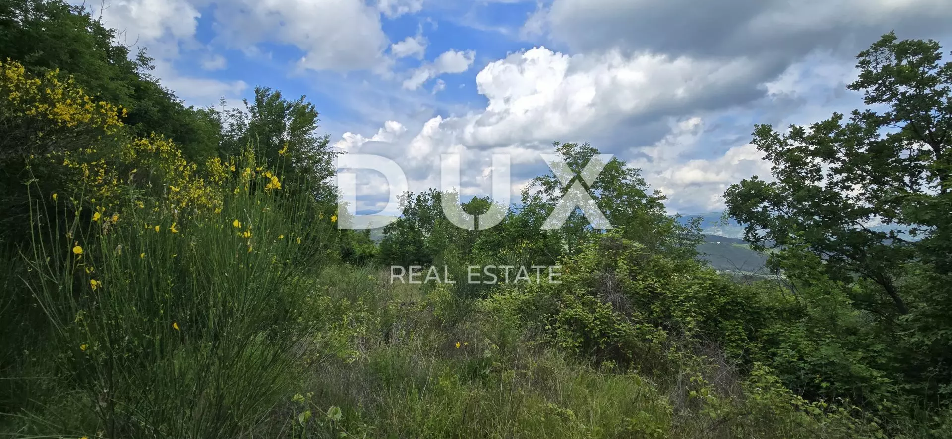 Land In Gračišće, Croatia (1.946 M²)
