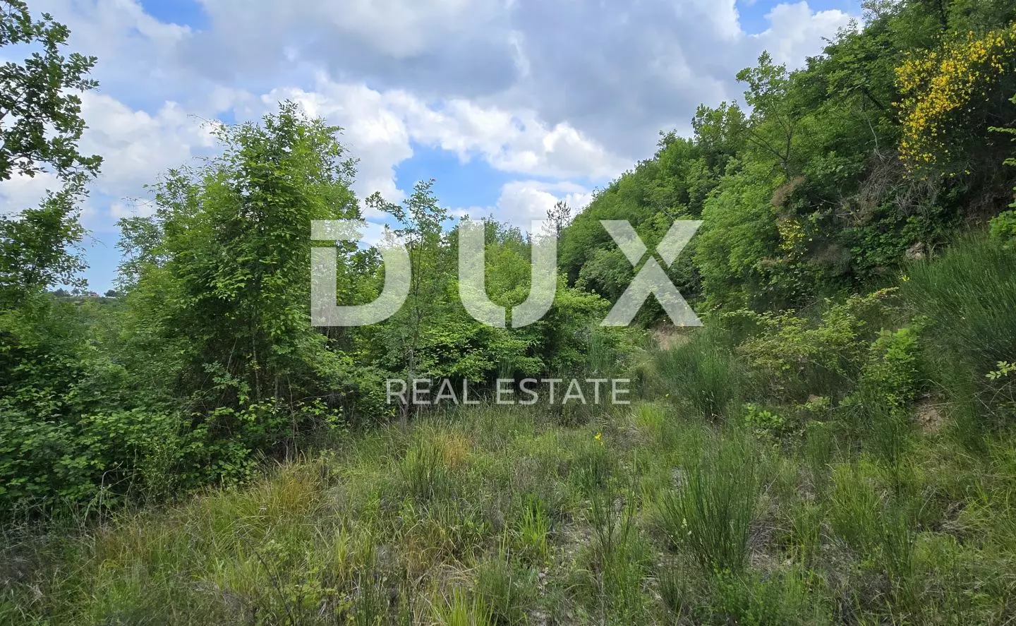 Land In Gračišće, Croatia (1.946 M²)